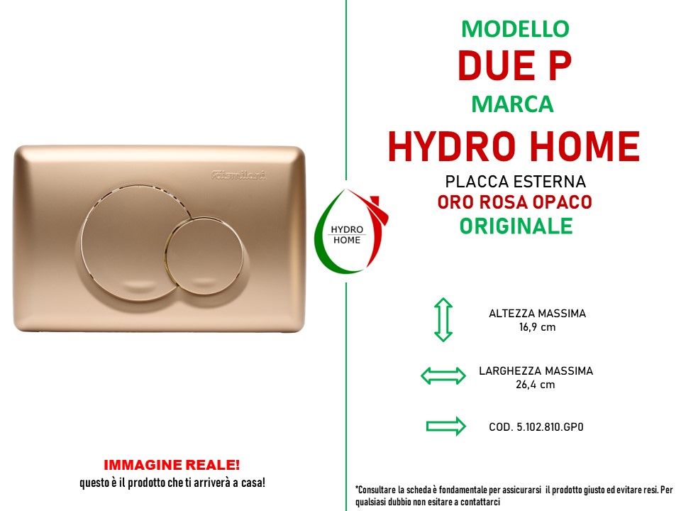 DUE P ORO ROSA OPACO SCHEDA Placca esterna Doppio Tasto Due-P Oro Rosa Opaco per cassetta incasso Faismilani - immagine 2
